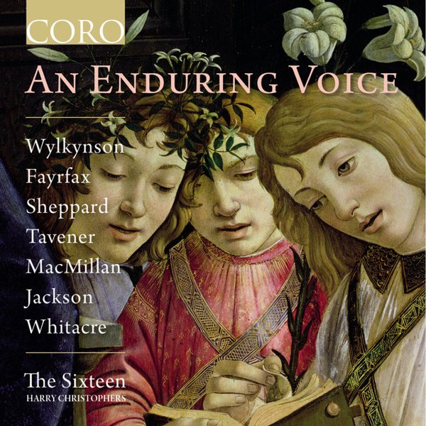 An Enduring Voice cover