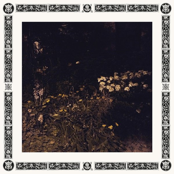 Pale Bloom album cover