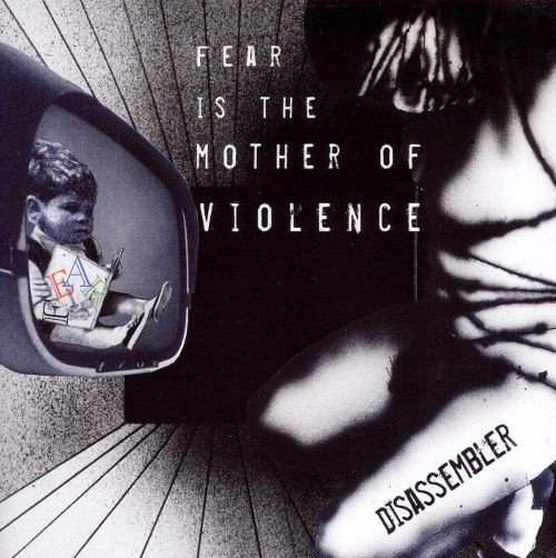 Fear Is the Mother of Violence album cover
