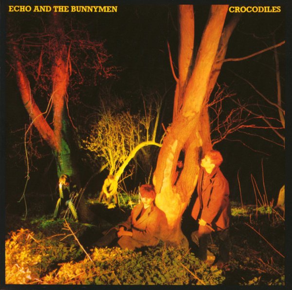 Crocodiles album cover