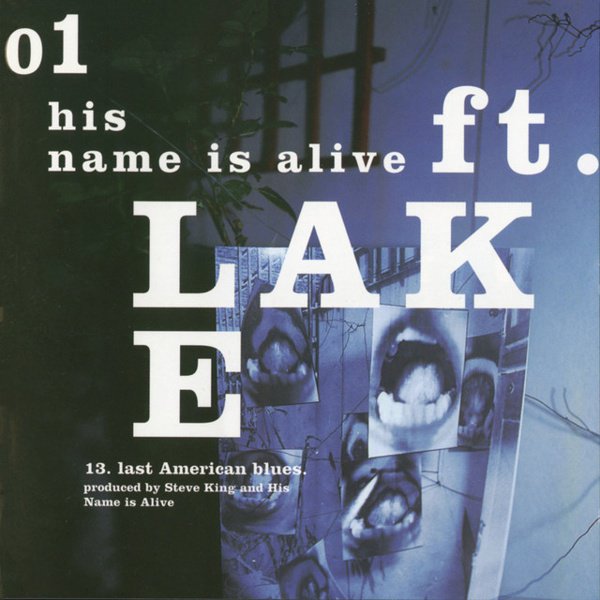 Ft. Lake album cover