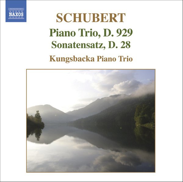 Schubert: Piano Trio, D. 929; Sonatensatz, D. 28 album cover