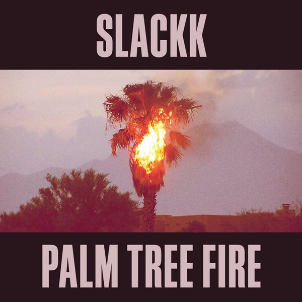 Palm Tree Fire cover