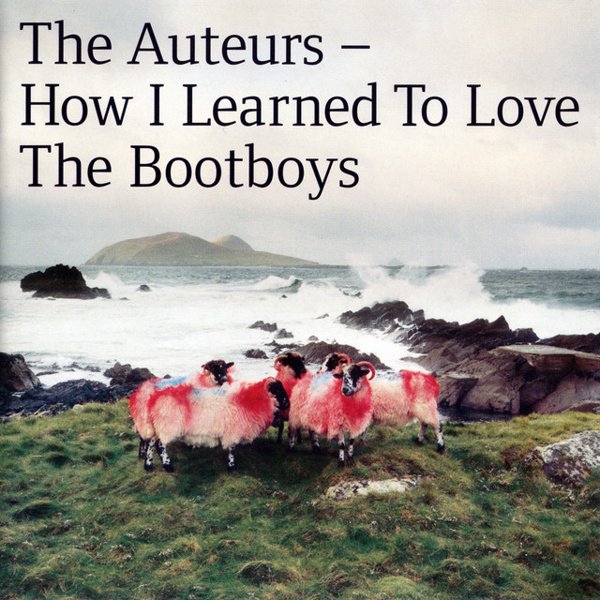 How I Learned to Love the Bootboys cover