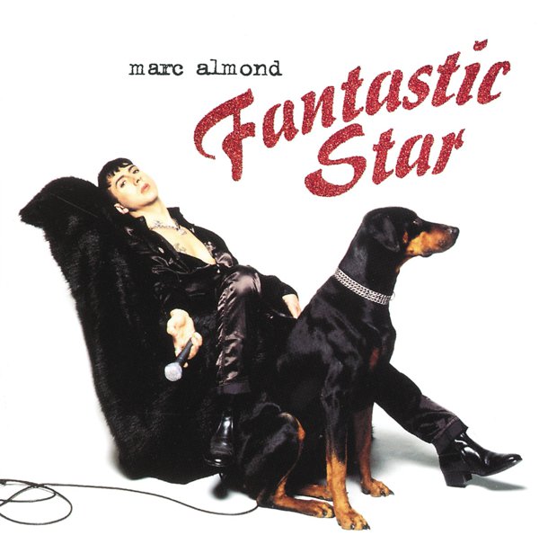 Fantastic Star album cover