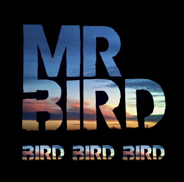 Bird Bird Bird cover