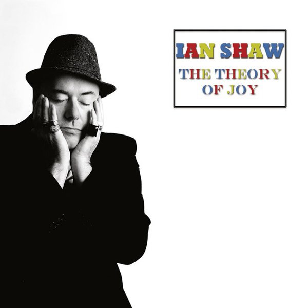 The Theory of Joy cover