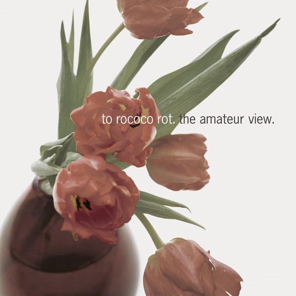The Amateur View cover