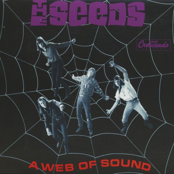 A Web of Sound cover