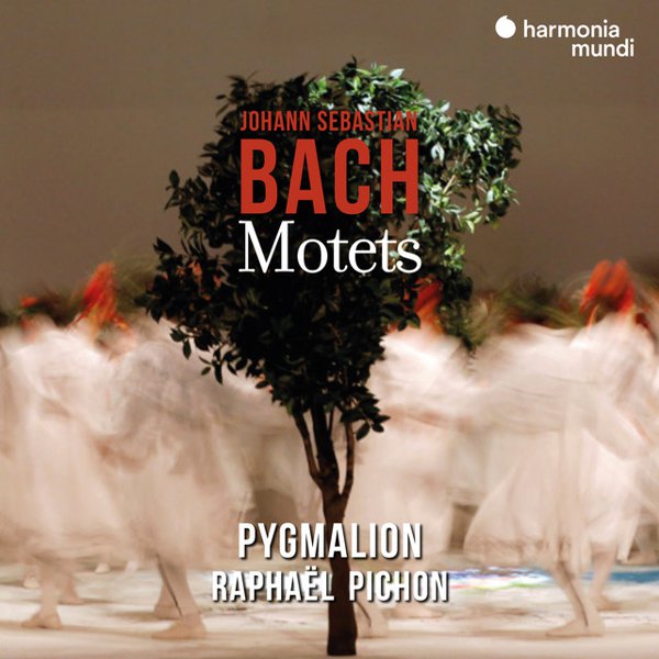Johann Sebastian Bach: Motets album cover