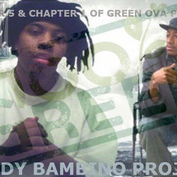 The Shady Bambino Project album cover
