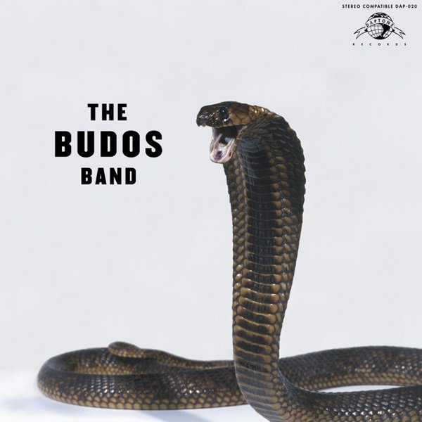 The  Budos Band III cover