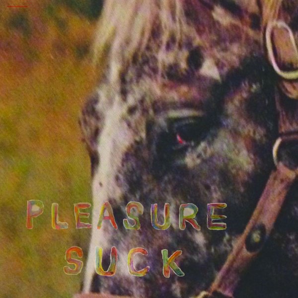 Pleasure Suck cover