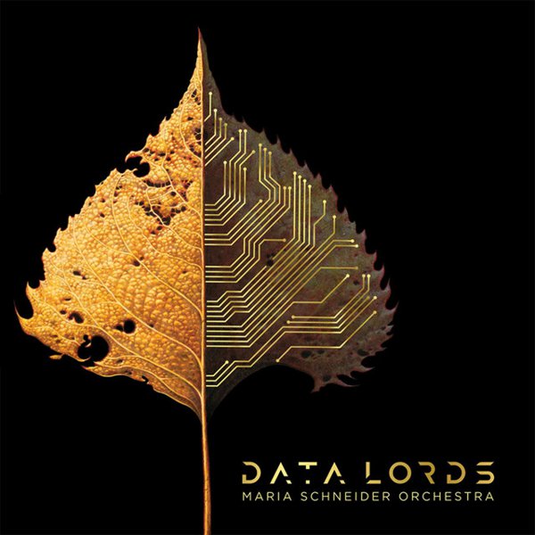 Data Lords album cover