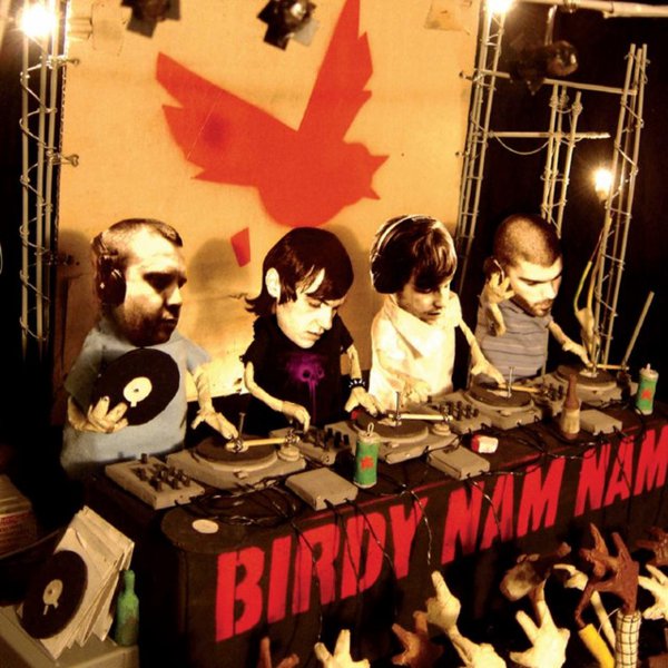 Birdy Nam Nam cover