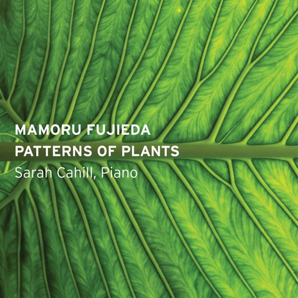 Patterns of Plants cover