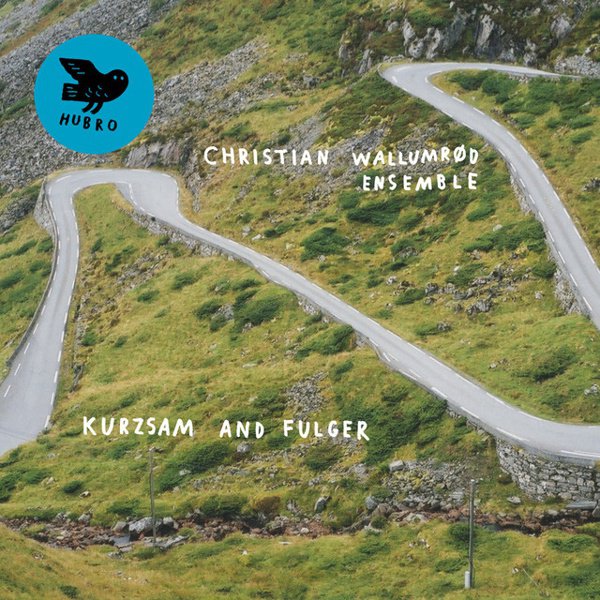 Kurzsam and Fulger album cover