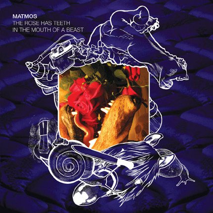 The Rose Has Teeth in the Mouth of a Beast album cover