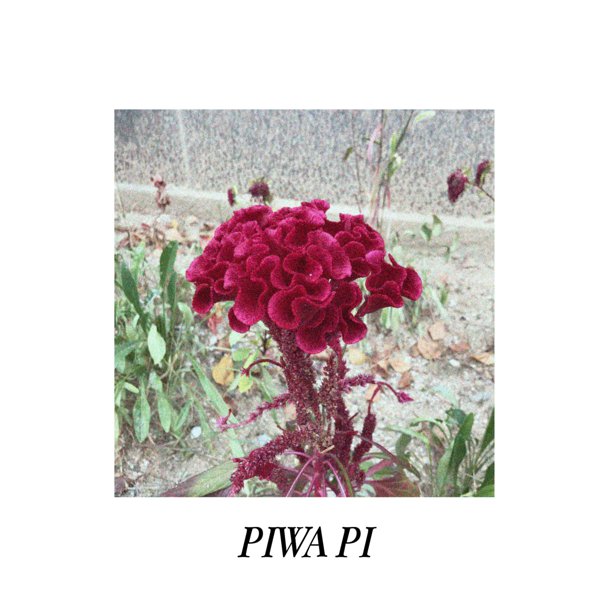 PIWA PI cover