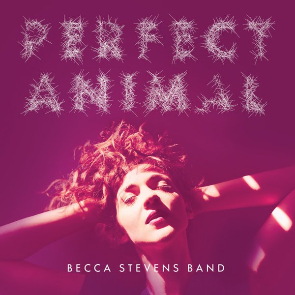 Perfect Animal album cover