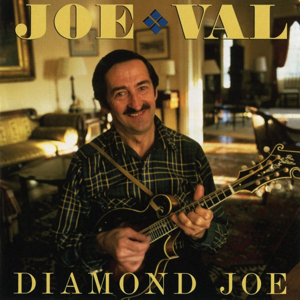 Diamond Joe album cover