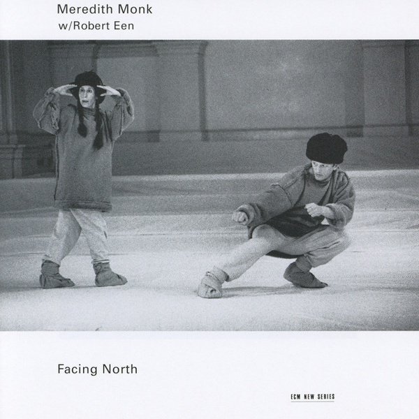 Facing North cover