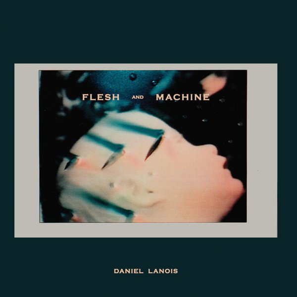 Flesh and Machine cover