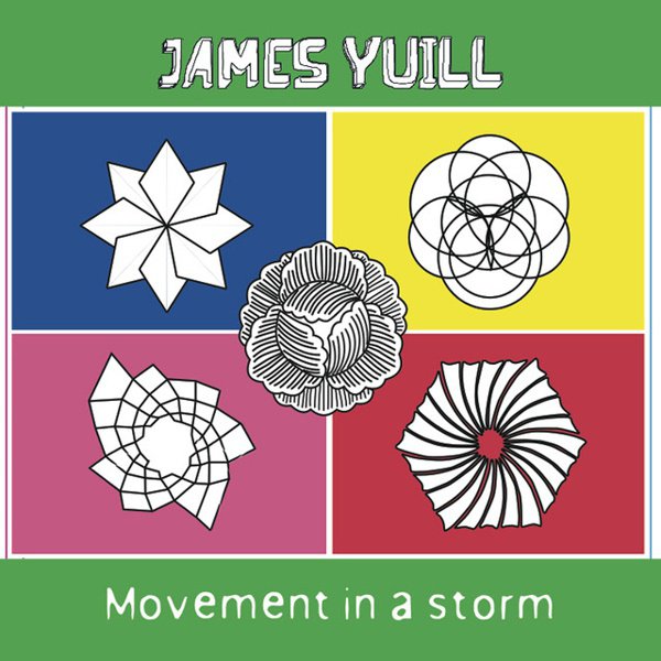 Movement in a Storm cover