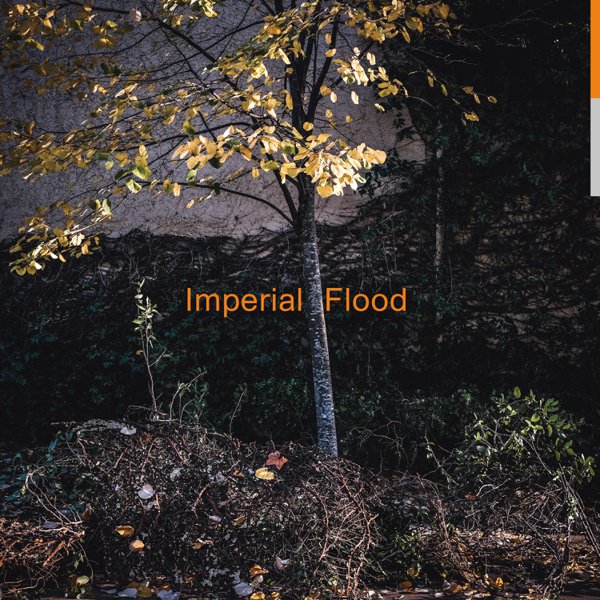 Imperial Flood album cover