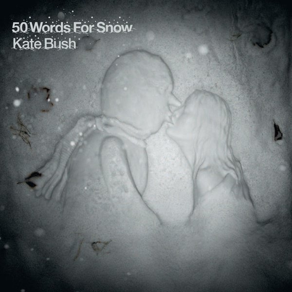 50 Words for Snow cover