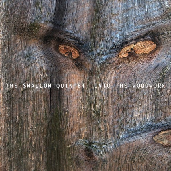 Into the Woodwork cover