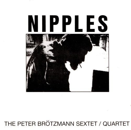 Nipples cover