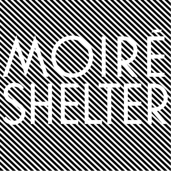 Shelter album cover