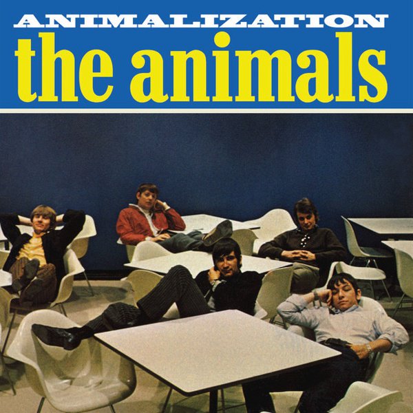 Animalization cover