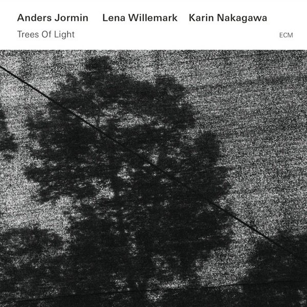 Trees of Light album cover