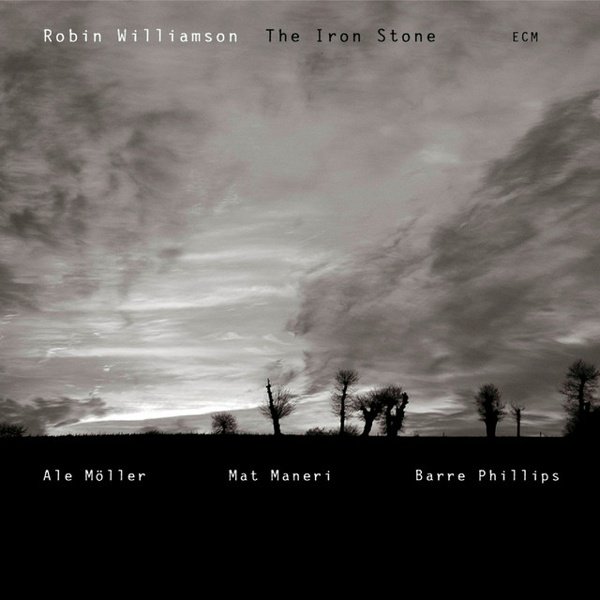 The Iron Stone cover