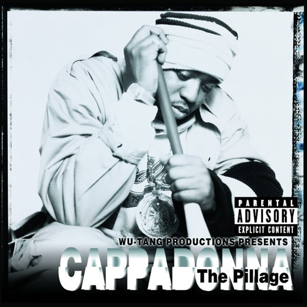 The Pillage album cover