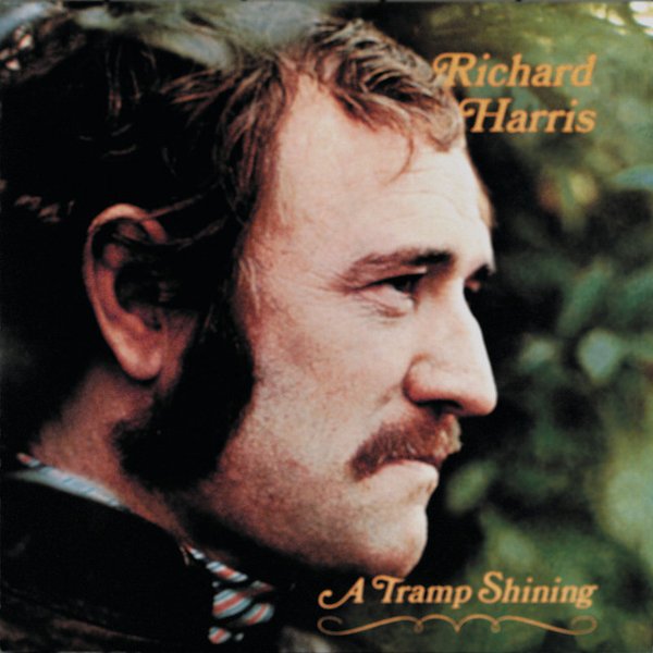 A Tramp Shining cover