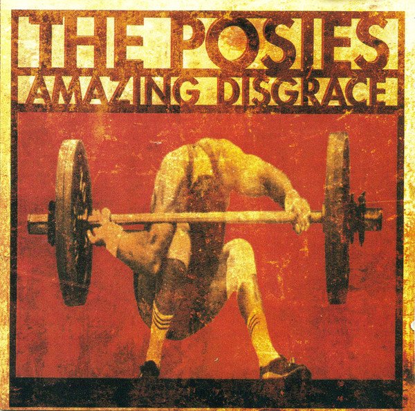 Amazing Disgrace cover