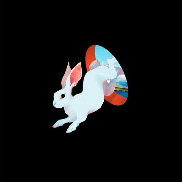 Animal Hospital cover
