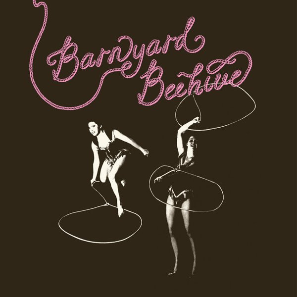 Barnyard Beehive cover