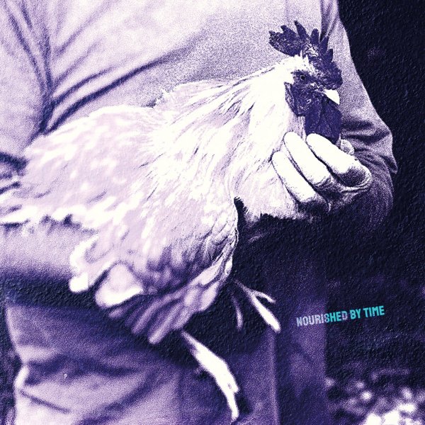 Catching Chickens cover