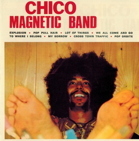 Chico Magnetic Band cover