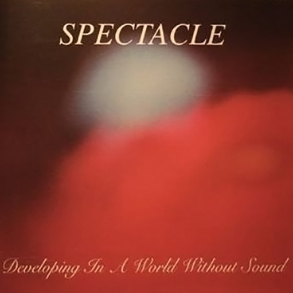 Developing in a World Without Sound cover