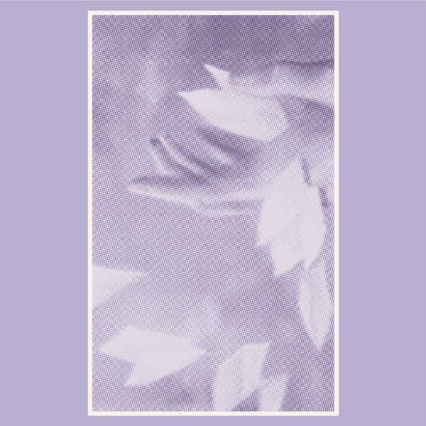 Fallen Flowers cover