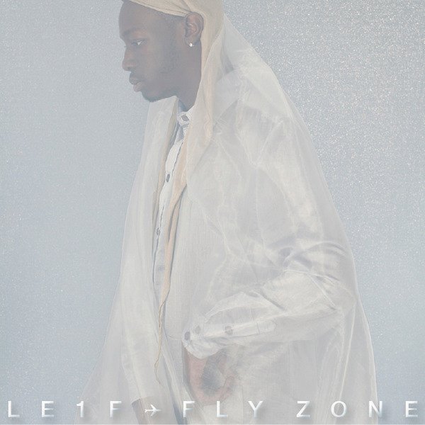 Fly Zone cover