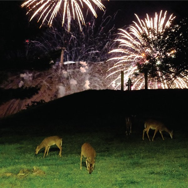 Hunting Season cover