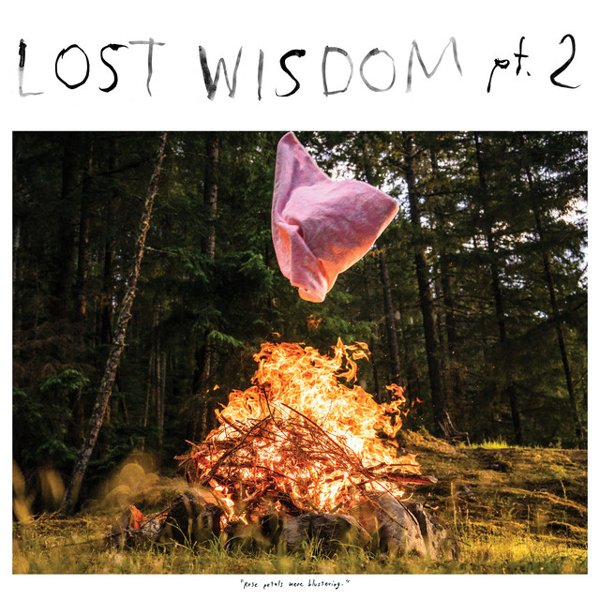 Lost Wisdom Pt. 2 cover