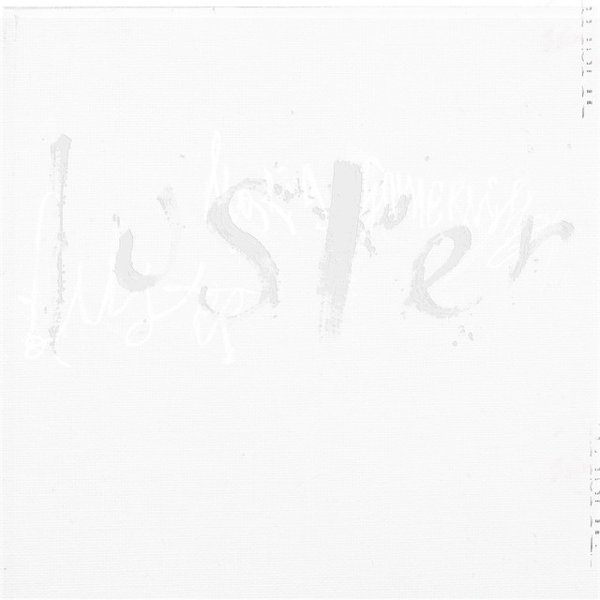 Luster cover