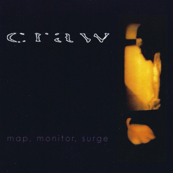 Map, Monitor, Surge cover